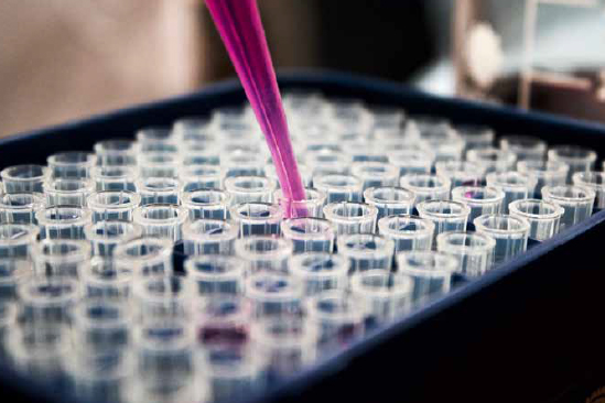 Photo of a tray full of test tubes with pink fluid being piped into one